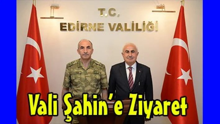 Vali Şahin'e Ziyaret