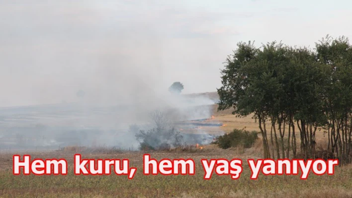 Kurunun yanında Yaş'ta yanıyor