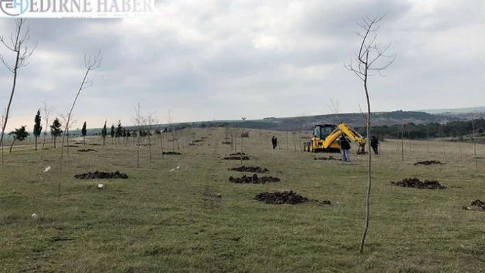 Hayrabolu'da fidan dikimi devam ediyor