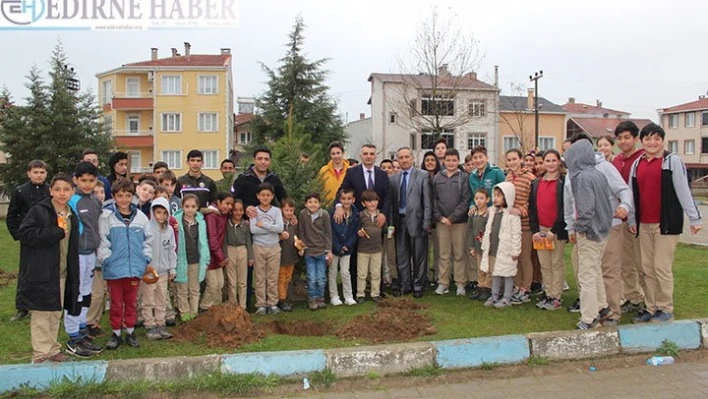 Orman Haftası