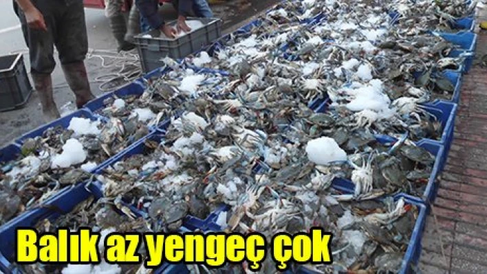 Balık az yengeç çok