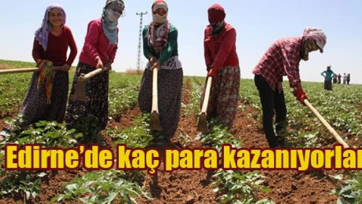 En yüksek ücret Edirne'ed