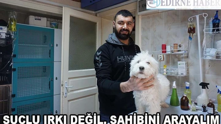 'Suçlu Irkı Değil, Sahibini Arayalım'