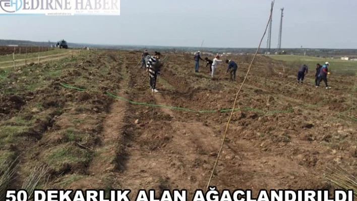 50 dekarlık alan ağaçlandırıldı