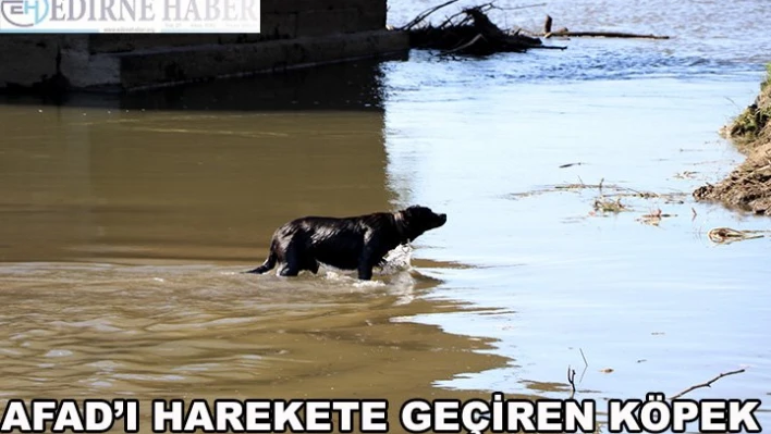 AFAD'ı harekete geçiren köpek