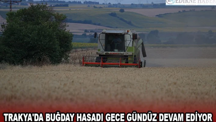 Trakya'da buğday hasadı gece gündüz devam ediyor