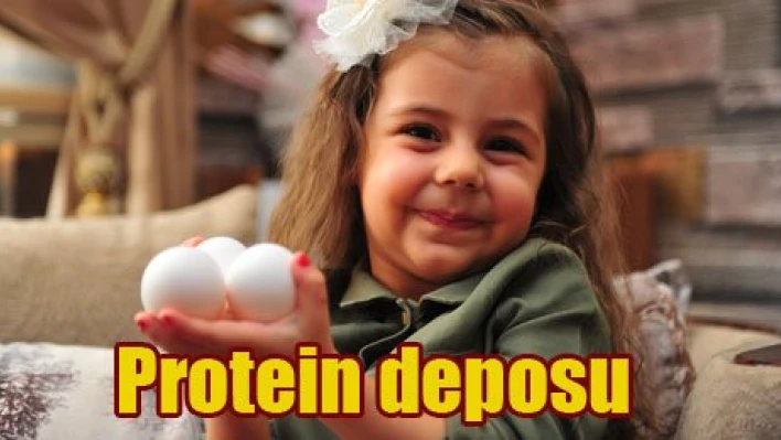 Kırmızı ve beyaz ete alternatif
