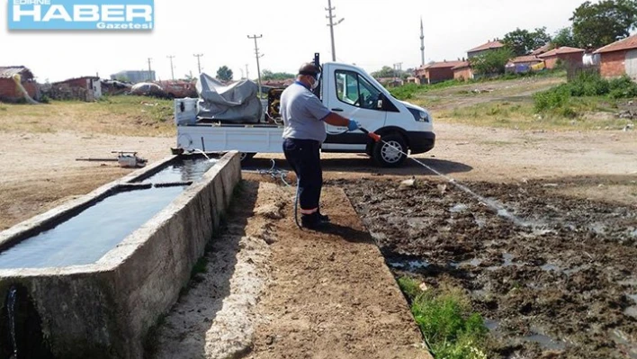 Uzunköprü'de sivrisinekle mücadele