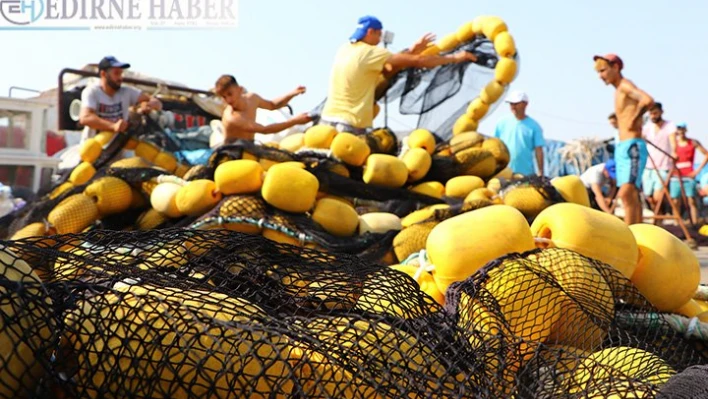 Tekirdağlı balıkçılar yeni sezonda lüfer ve palamuttan umutlu