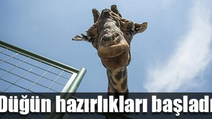 Şakir'e eş bulundu