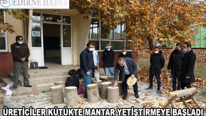 Genç üreticiler kütükte 'mantar' yetiştirmeye başladı