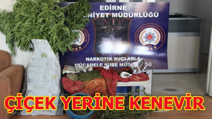 Bahçesinde kenevir yetiştirdi, cezaevini boyladı
