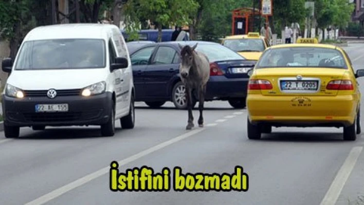İstifini bozmadı