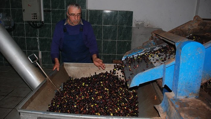 Verim düşük