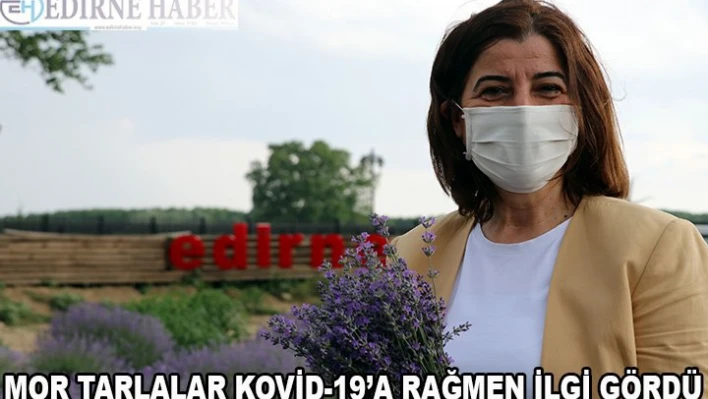 'Mor tarlalar' Kovid-19'a rağmen ilgi gördü