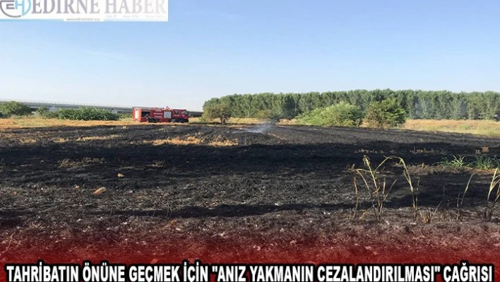  'Anız yakmanın cezalandırılması' çağrısı