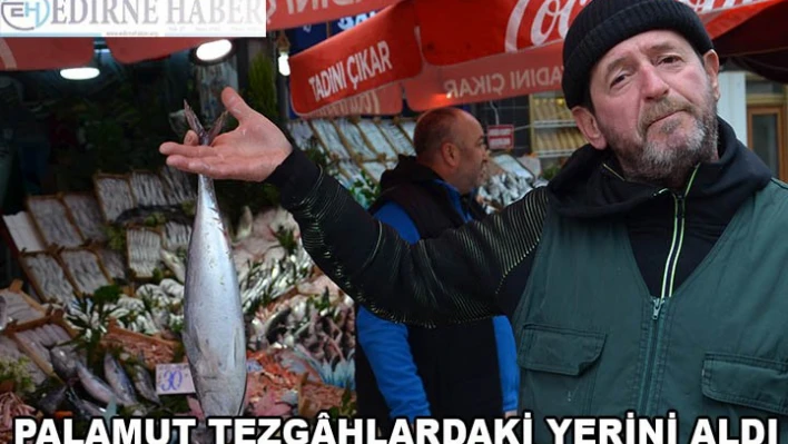 PALAMUT TEZGÃ‚HLARDAKİ YERİNİ ALDI