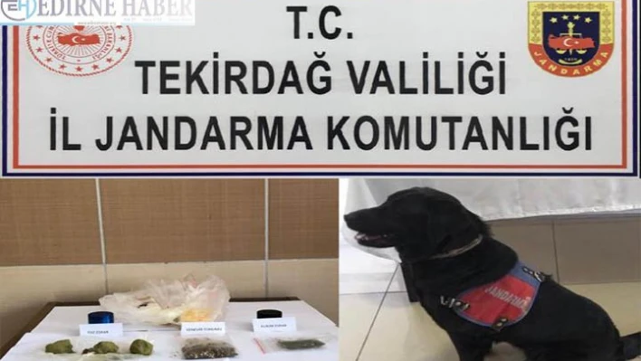 Tekirdağ'da uyuşturucu operasyonunda 1 kişi tutuklandı