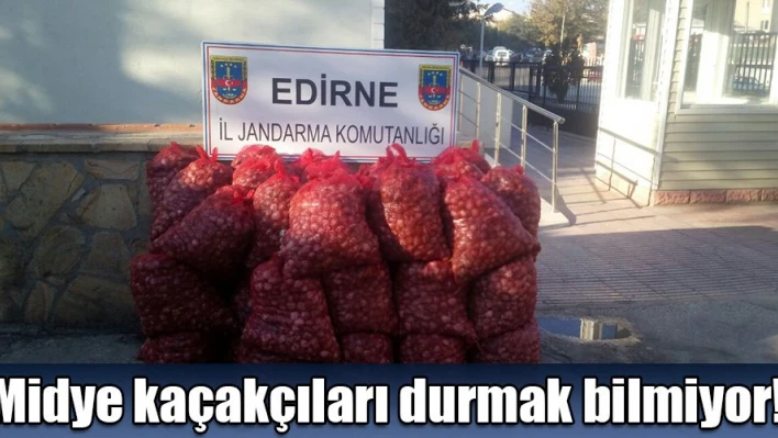Nasıl olsa cezası yok