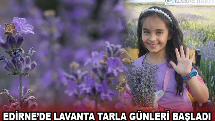 Edirne'de Lavanta Tarla Günleri başladı