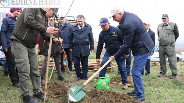Tekirdağ'da adalet hatıra ormanı oluşturuldu