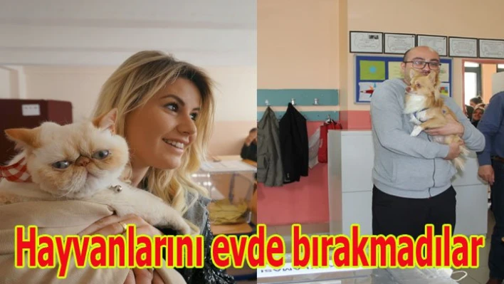 Kimi Köpeği ile, Kimi Kedisi ile