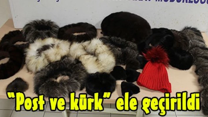 'Post ve kürk' ele geçirildi