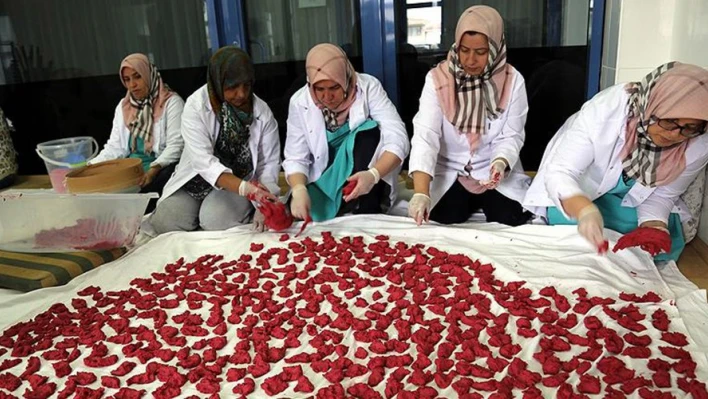 Kış için hazırlanıyor