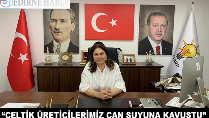 'Çeltik üreticilerimiz can suyuna kavuştu'