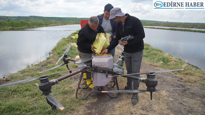 Çeltik ekimine dron desteği