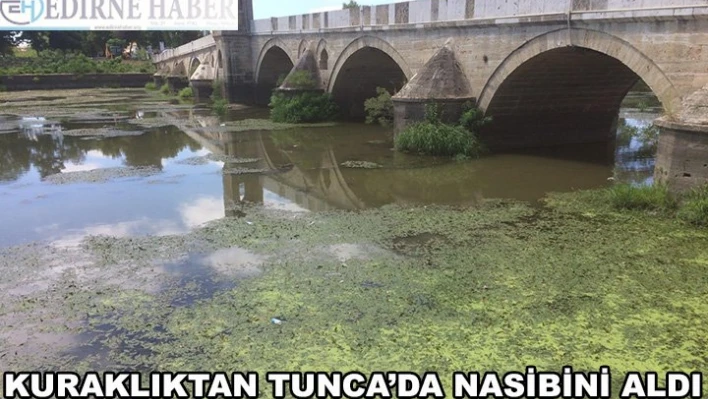 Yağışsız geçen mevsimden Tunca'da nasibini aldı