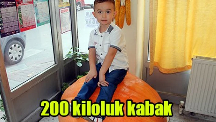 200 kiloluk kabak