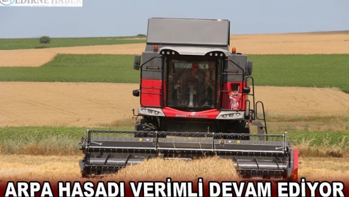 Edirne'de arpa hasadı verimli devam ediyor