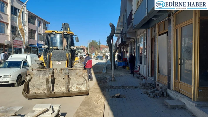 CHP'li Belediyenin Ağaç Katliamı İddiası