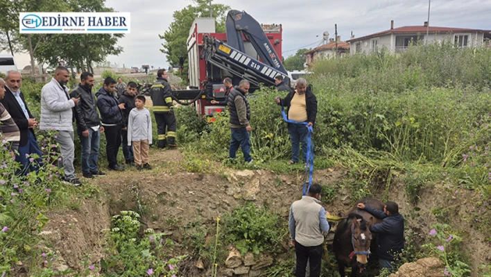 Çukura düşen at itfaiye tarafından kurtarıldı