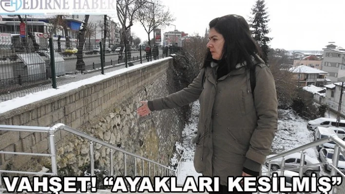 Ayakları kesildi