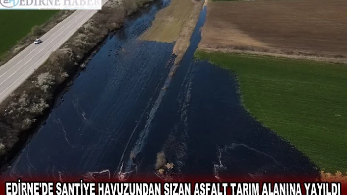EDİRNE'DE ŞANTİYE HAVUZUNDAN SIZAN ASFALT TARIM ALANINA YAYILDI