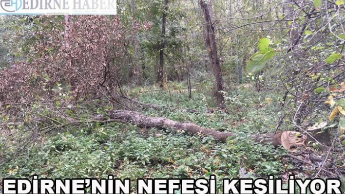 Edirne'nin Nefesi Kesiliyor
