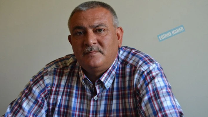 Yağışlar ayçiçeğine yaradı