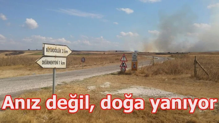 İnsafınız kurusun