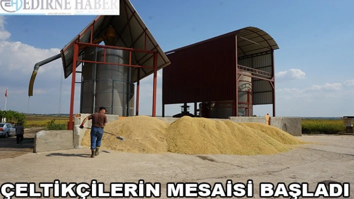 Çeltik kurutma mesaisi başladı