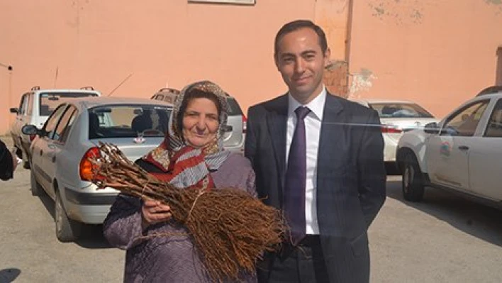Fidan dağıttılar