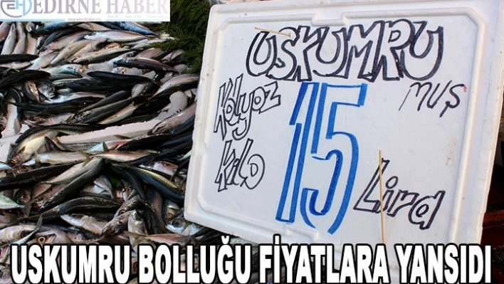 Uskumru bolluğu fiyatlara yansıdı