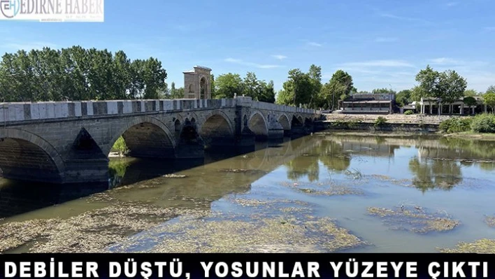Debiler düştü, yosunlar yüzeye çıktı