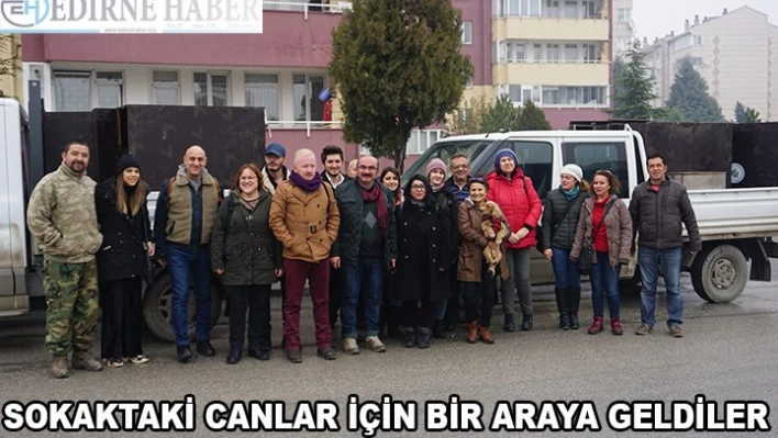 Sokaktaki canlara sıcacık evler