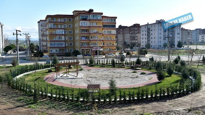 'kedi köyü' kuruluyor