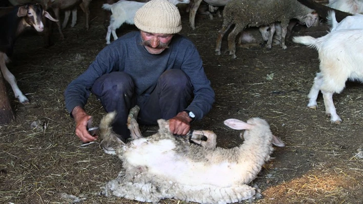 Bayram traşından onlarda nasibini aldı