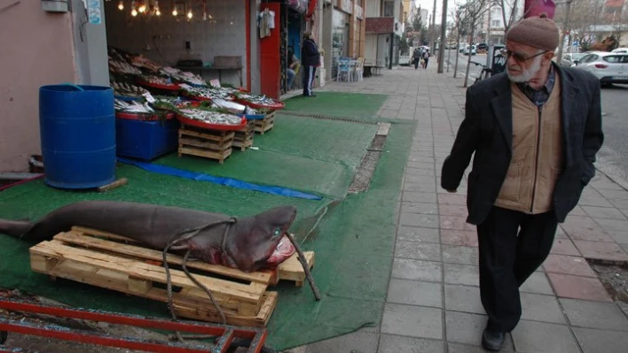 Vatandaşlar şaşırdı