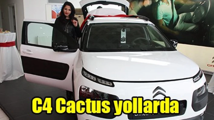 C4 Cactus yollarda