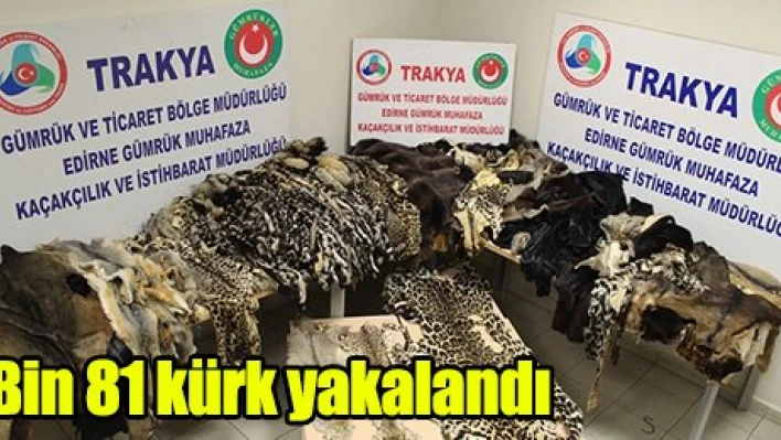 Sınırda kaçak kürk ele geçirildi. 